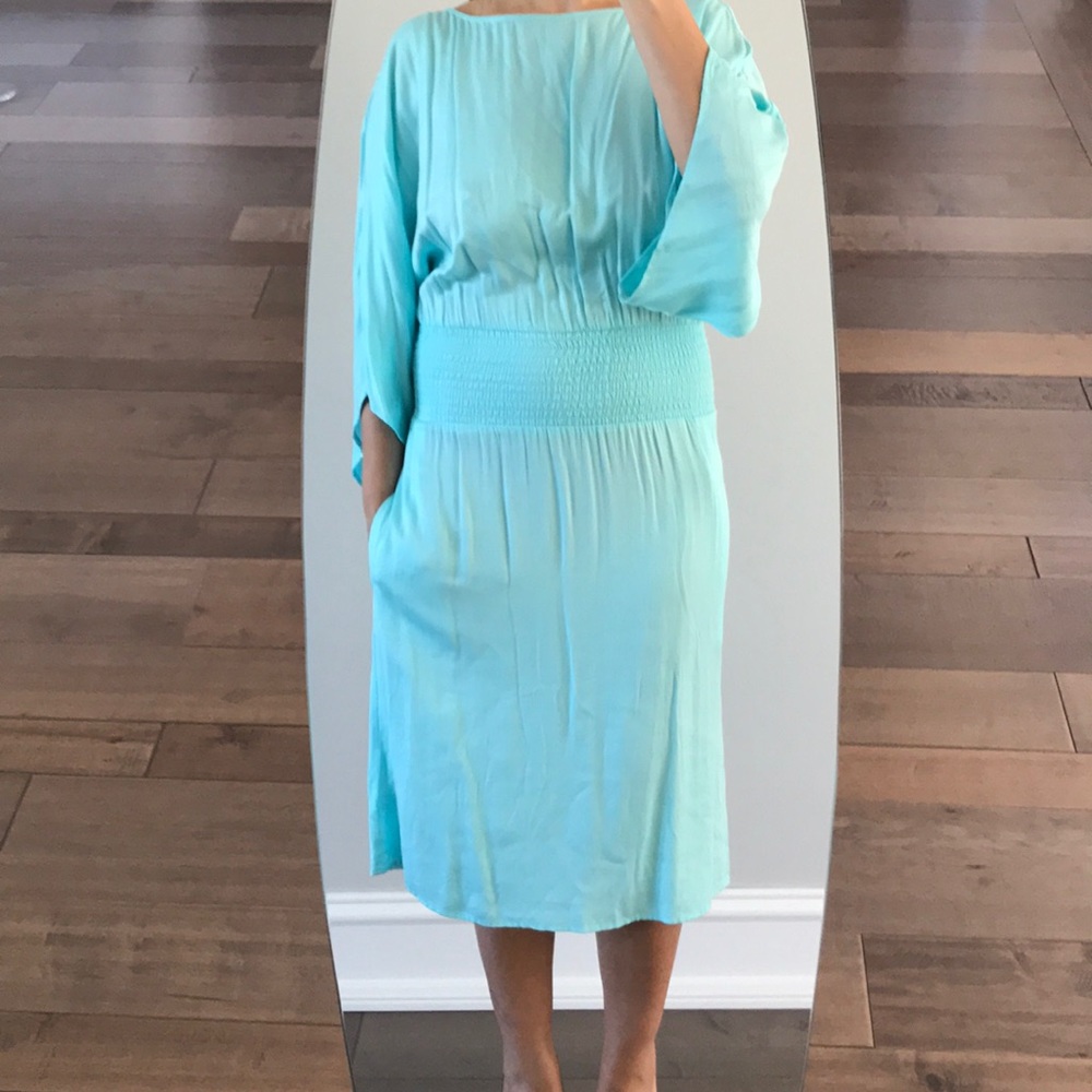 Aritzia Babaton dress S